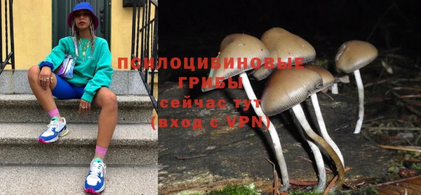 МДПВ Нефтегорск