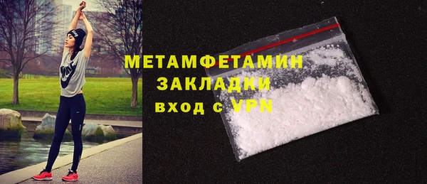 прущие грибы Анжеро-Судженск