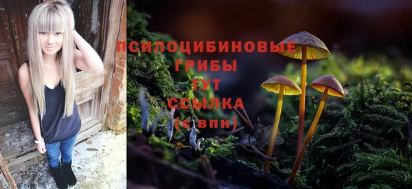 гашик Нея