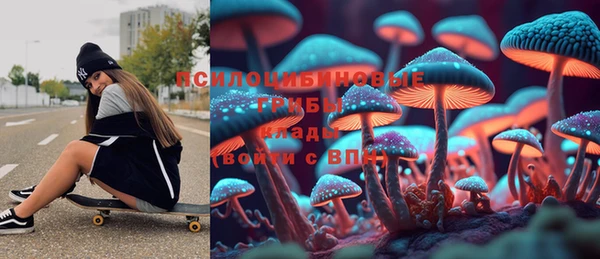 гашик Нея