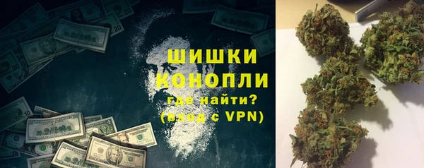 МДПВ Нефтегорск