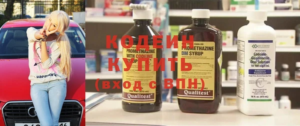 гашик Нея