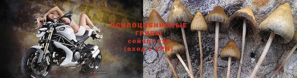 бутират Нефтекумск