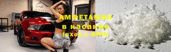 ГАЛЛЮЦИНОГЕННЫЕ ГРИБЫ Новодвинск