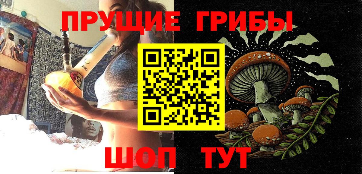 Галлюциногенные грибы ЛСД  Псилоцибиновые грибы прущие грибы  закладка  Вход с VPN  Богданович 