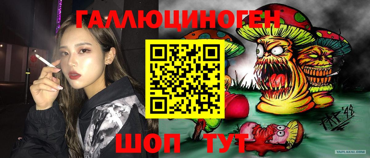 Галлюциногенные грибы Psilocybine cubensis  Богданович 